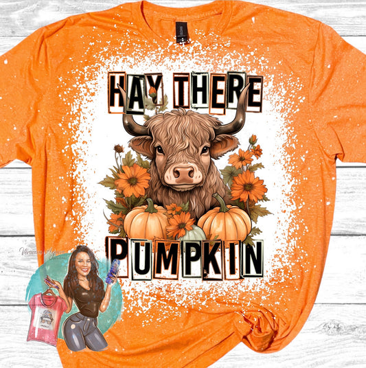 Hay There Pumpkin Bleached T-Shirt