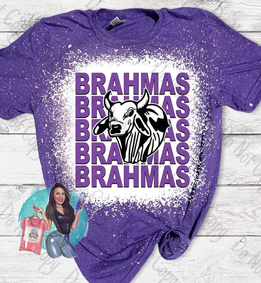 Stockdale Brahmas Repeated Bleached T-Shirt